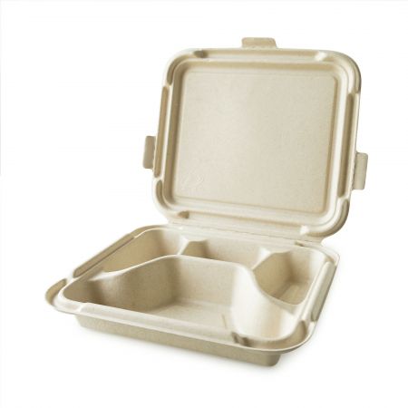 Clamshell Four Grid Bagasse Container - The clamshell bagasse lunch container has multi-box to dish the meal.