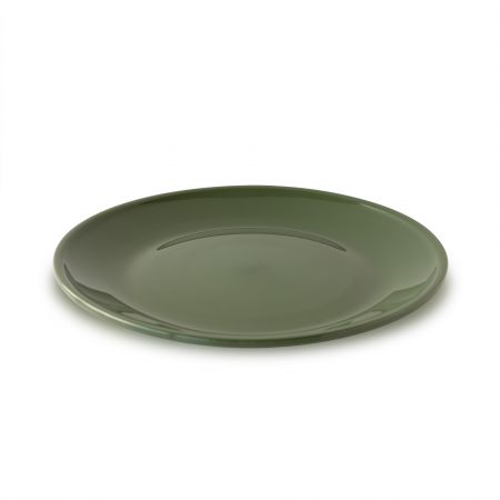 Talerz wielokrotnego użytku 10 cali CPET - Talerz odporny na ciepło 225 mm