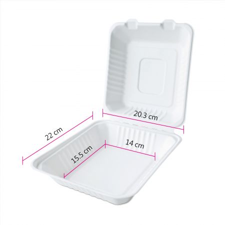Caja de comida de bagazo de tamaño grande