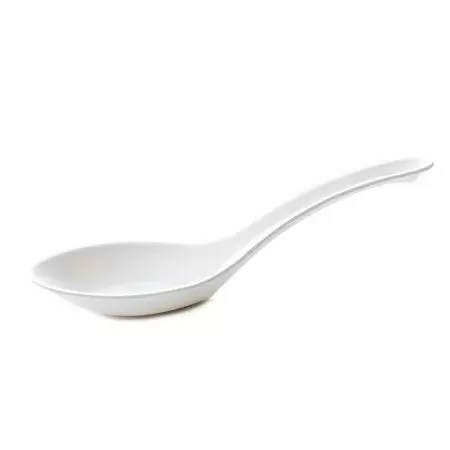 Bagasse Soup Spoon - TAIR CHU launches sugarcane pulp soup spoons, with no plastic coating, fully biodegradable.