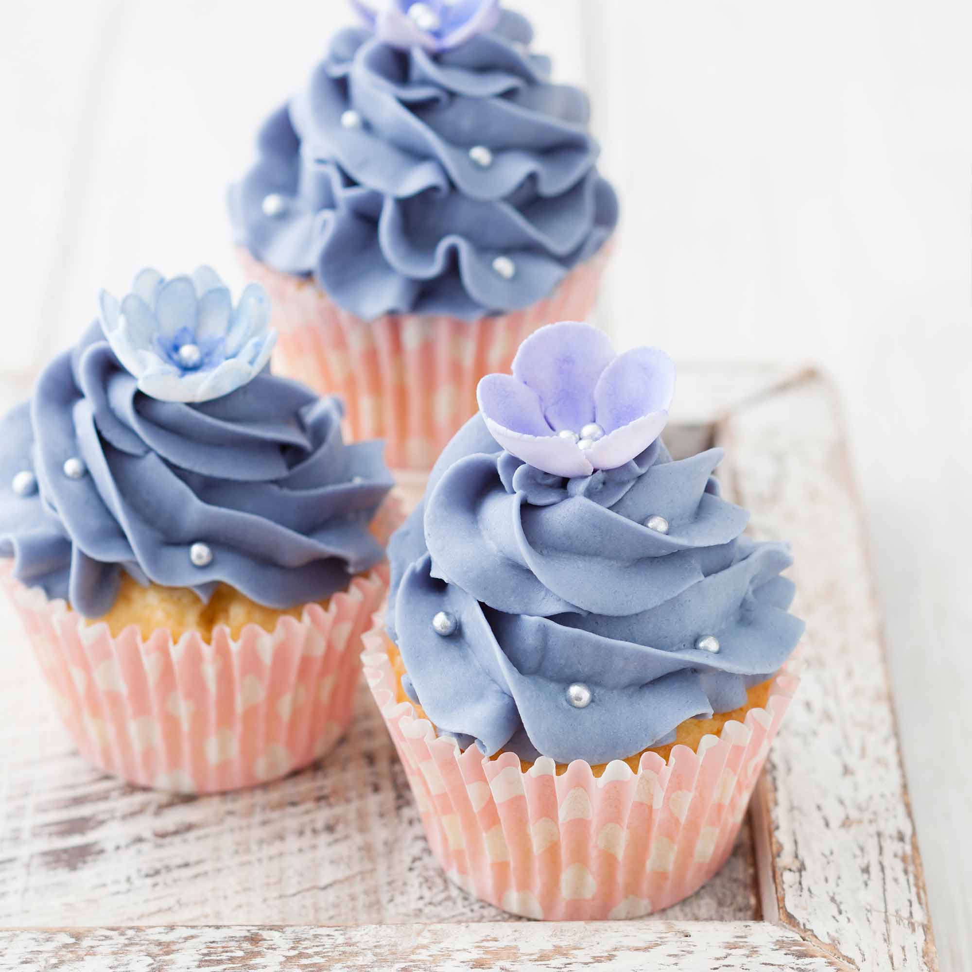 Bộ đồ ăn màu sắc cho bánh cupcake