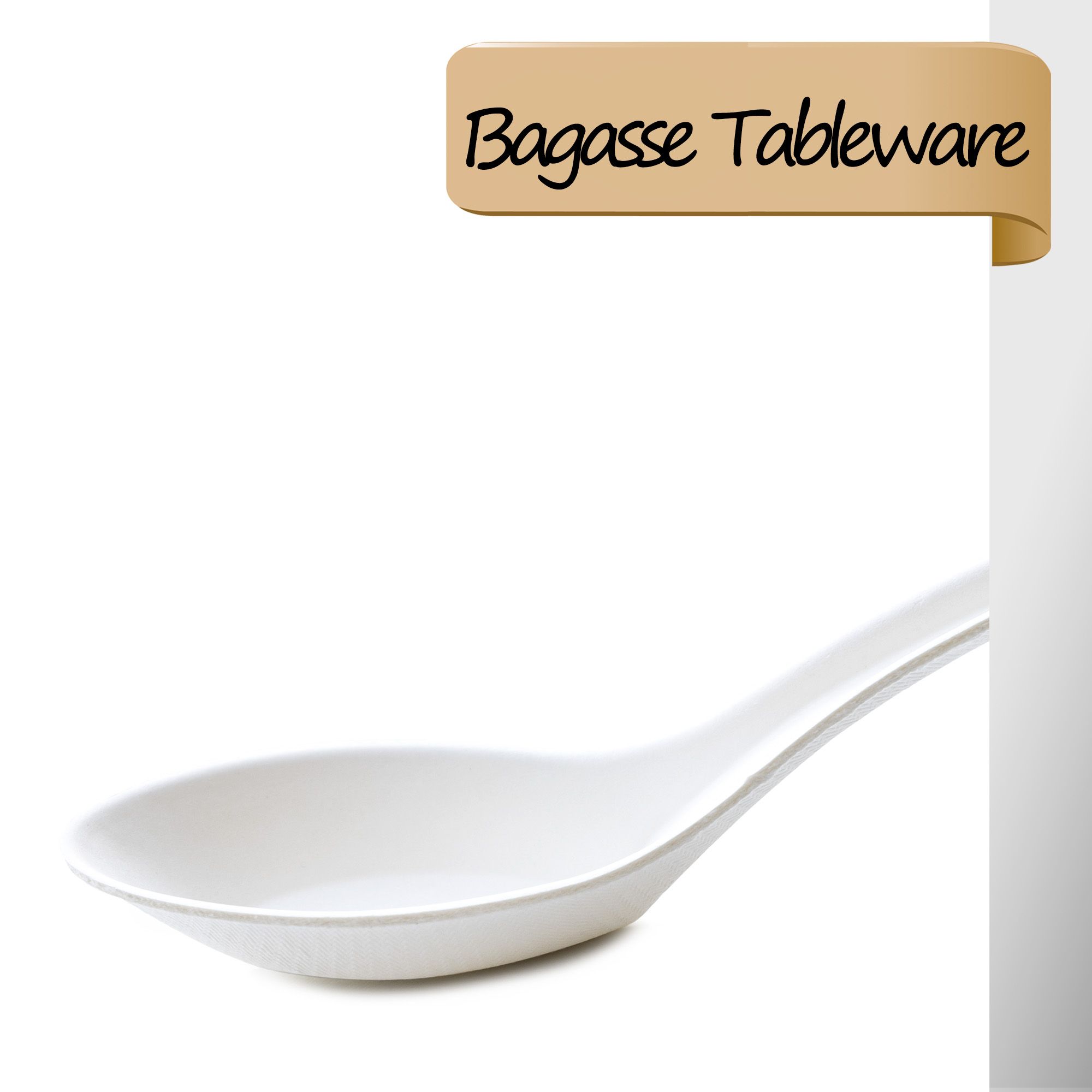 ECO friendly Sugarcane Tableware