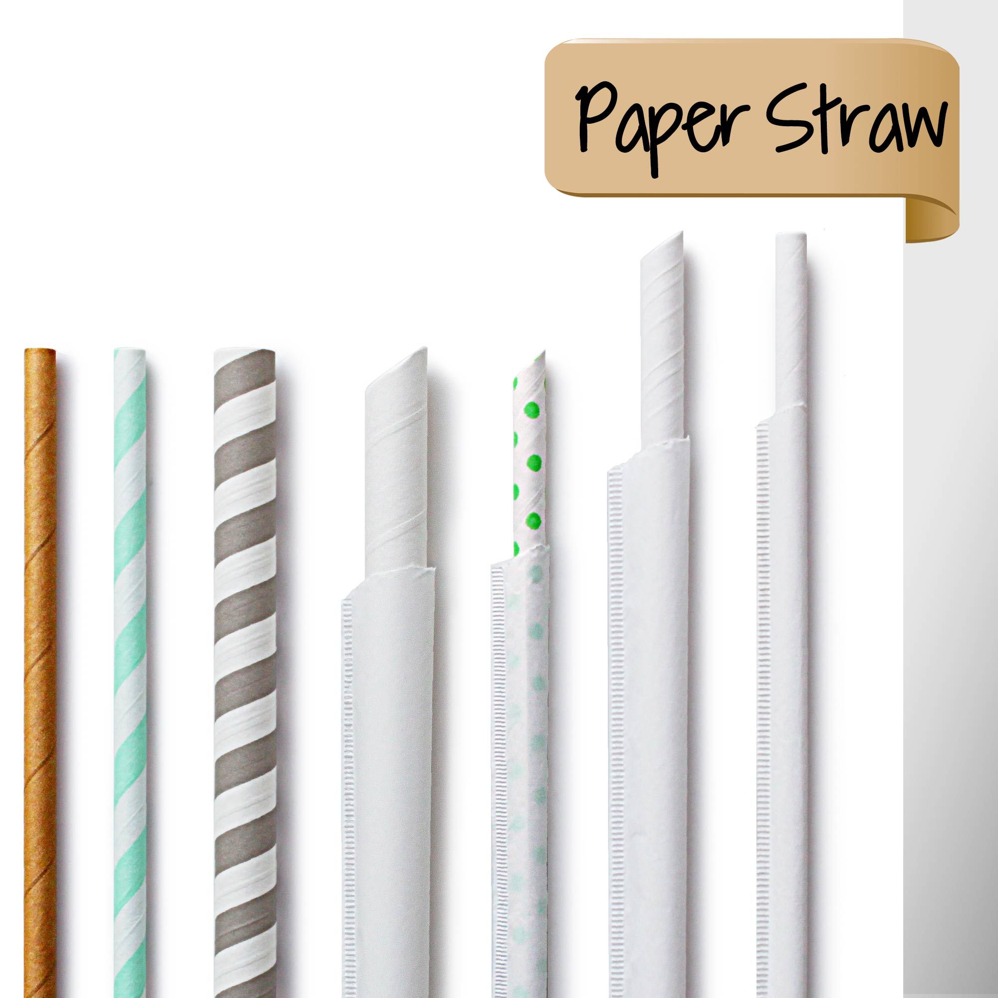 पर्यावरण से योग्य कागज की स्ट्रॉ