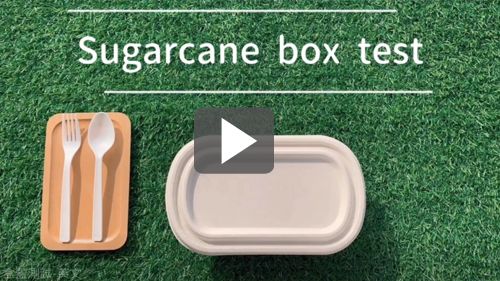 Verschließe die Zuckerrohr-Mahlzeitbox mit dem Boxverschluss~