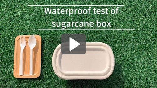 Vamos testar a resistência à água da caixa de almoço de bagaço de cana-de-açúcar!