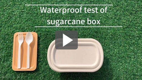 Lass uns die Wasserbeständigkeit der Zuckerrohr-Lunchbox testen!