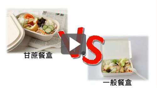 포장용 식탁 대결 - 친환경 식탁(무릎 면) vs 일반 종이 식탁(플라스틱 면 포함)