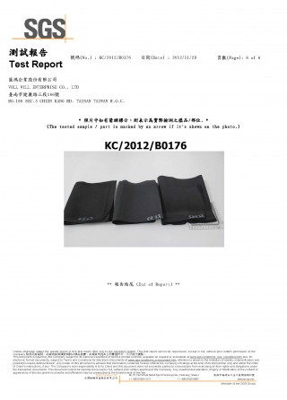 Rapport de test ROHS (6)