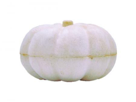 Biodegradable Blank Decoration - Pumpkin - ECO Friendly Tapioc decoration manufacturing
