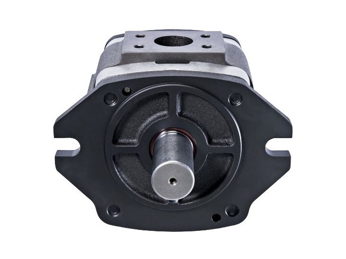 Pompa Idraulica A Ingranaggi Gruppo 1 BG1 - Con Flangia Europea E Albero Conico 1:8 - Foto 6