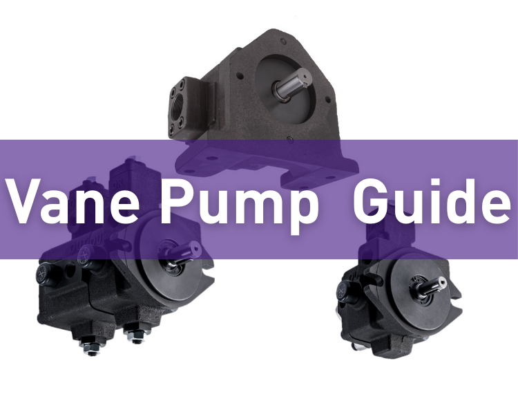 Pumps vane (VP pump) sunt communis genus hydraulicae pompae quae vanas in rotore montatas et cameram pompae eccentricam positam utitur ad repetite extendere et retrahere, formans camerae sigillatae quae fluidum trahunt et emittere. Comparatis pompis gear, pompae vanae structuram aliquantum magis complexam habent sed fluentem output leniorem et sonum inferiorem offerunt. Ut resultatum, late adhibentur in instrumentis machinalibus, machinis formandis plasticae, chuck hydraulicis et variis lineis productionis automationis.