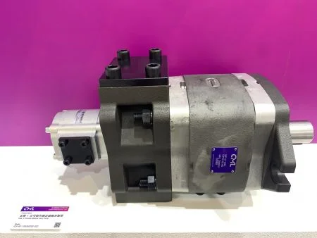 CML X एकरले मल्टीपल गियर पंप IGP-6F-100/EIPS2-022