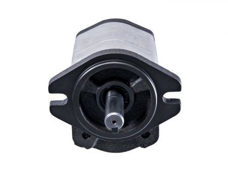 雙排齒輪B系列低噪音外嚙合齒泵DEGB外齒輪幫浦 軸心與取附面。