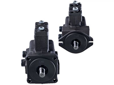 CML ปั๊มใบพัดแบบเปลี่ยนแปรคู่.