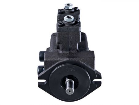 CML ปั๊มใบพัดแบบเปลี่ยนแปลงปริมาณคู่ DF-20-C20C.