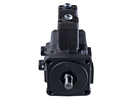 CML جیرورٹر کے ساتھ وین پمپ۔