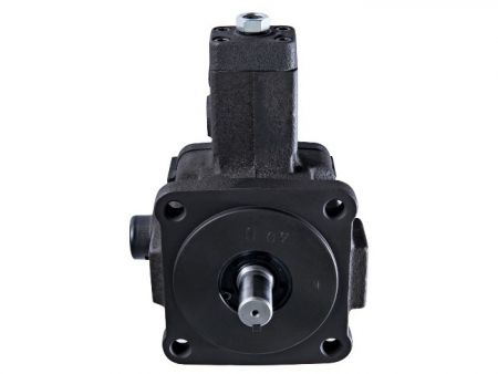 ปั๊มใบพัดแบบเปลี่ยนแปรได้พร้อมวาล์วตรวจสอบในตัว VCM-SFC-30D-20.