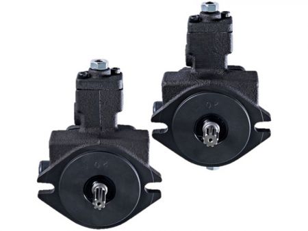 CML ปั๊มใบพัดแบบปรับได้พร้อมเพลาสลิป VCM+A, VCM+B.