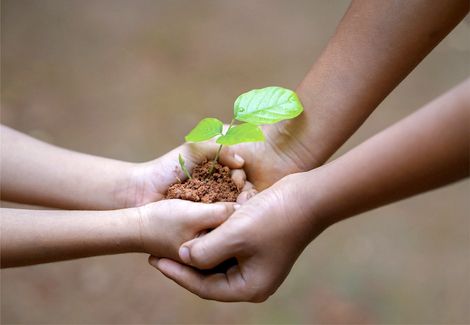 Super Nut takes Social Responsibility - Donate to charity periodically