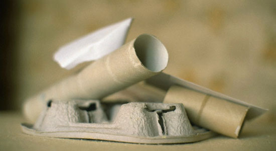 Recycle empty roll of toilet paper and egg carton