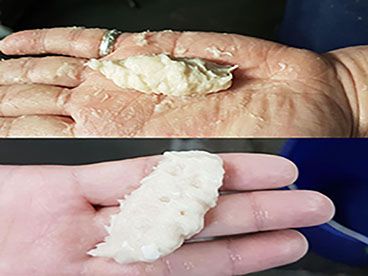 Formazione di Barre di Pasta di Pesce