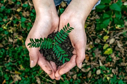 친환경 "No Plastic" 포장을 통한 환경 지속 가능성 및 보호 지원