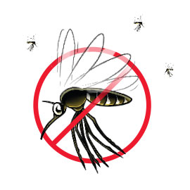Anti-moustique - Anti-moustique