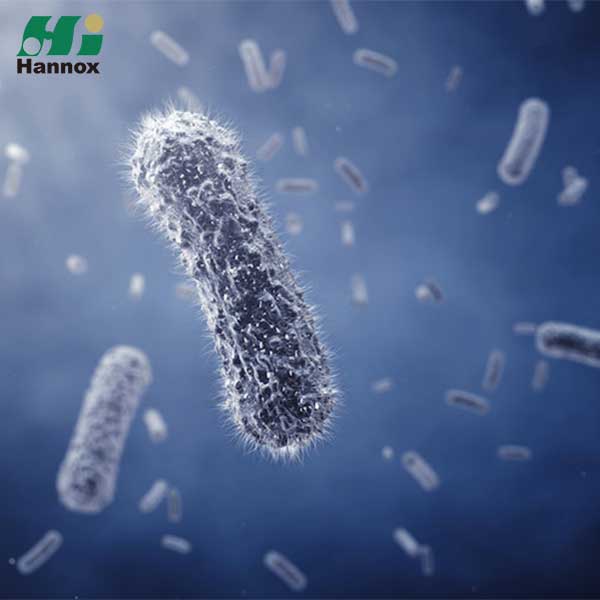 منتجات مضادة للعدوى - مضاد للعدوى