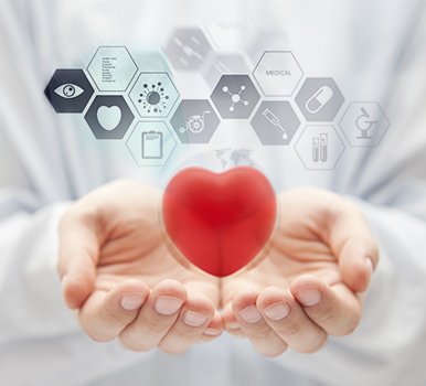 Profil de l'entreprise