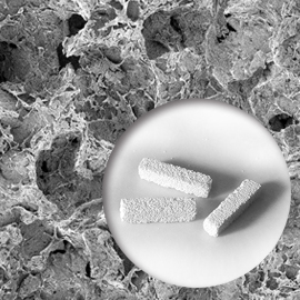 Bone Graft Substitute - Bicera - the most positive feedback & reorder bone graft