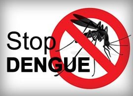 Protet Prevent Stop Dengue
