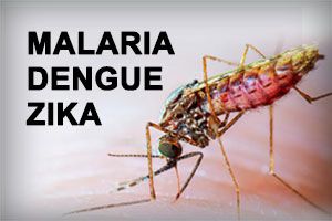 MOSQUITO REPELLENT