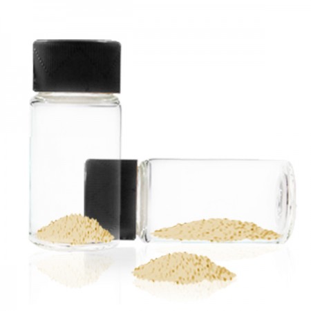 Костная трансплантация