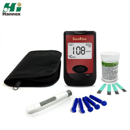 血糖測定システム