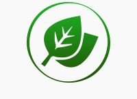 Plant-Derived Ingredients