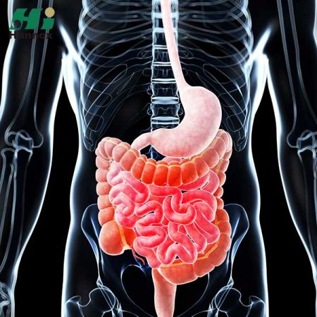 Gastroenterology Products - Gastroenterology