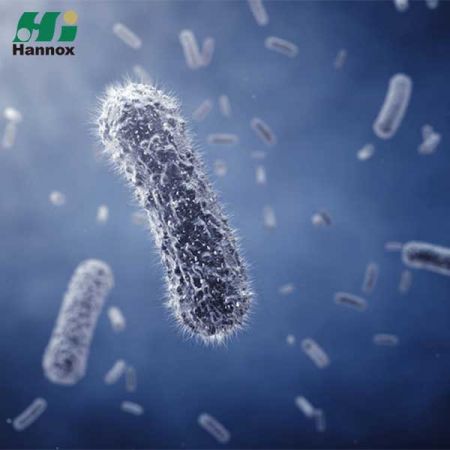 Anti-Infective Products - Anti-Infective