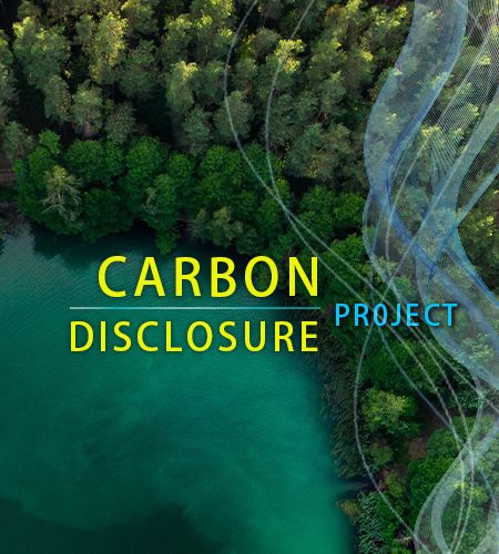 Carbon Disclosure fabric - Carbon Disclosure fabric
