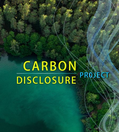 Tessuto di divulgazione del carbonio - Tessuto di divulgazione del carbonio