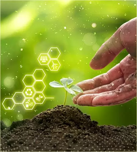 Tessuto compostabile - Tessuto compostabile ecologico