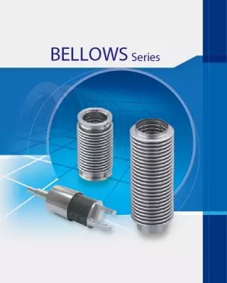 Bellow Series and vacuum component supplier for processing equipment solutions