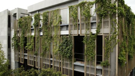 Green Wall Facade - New techniques and innovative applications of expanded metal mesh make buildings unique