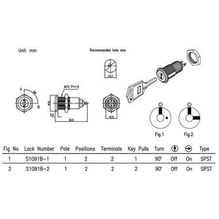 S1091B serratura commutationis micro clavis plana SPEC.