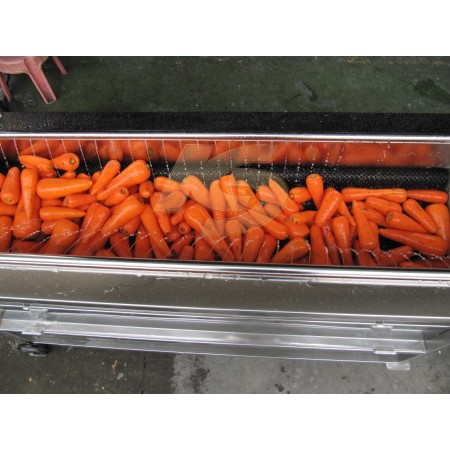 Carrot Peeling (Applicable to potato, carrot, sweet potato brushing & peeling.)