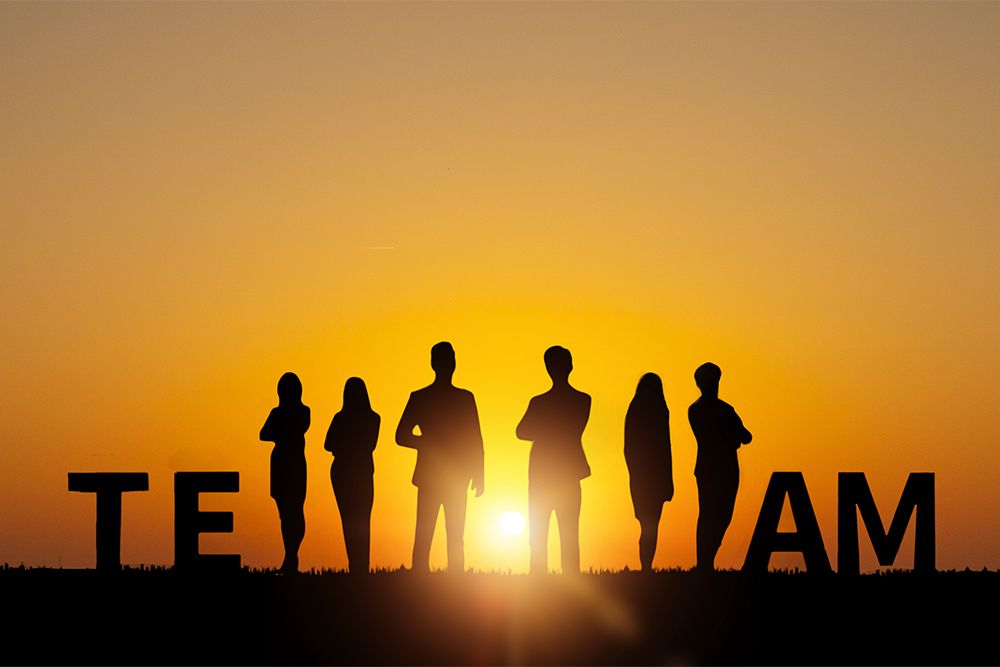 UJEN: Введение в экспертную команду