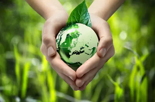 Écologique et durable.
