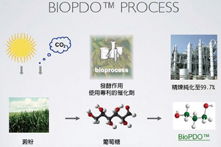 生質型防水薄膜的生成過程。