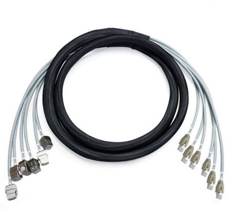 Cáp trunk đã được kết thúc trước Cat 6A STP từ Jack đến Plug