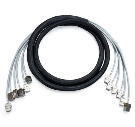 Cáp Trunk Jack đến Jack Cat 6A STP đã được kết nối sẵn cho Trung tâm Dữ liệu