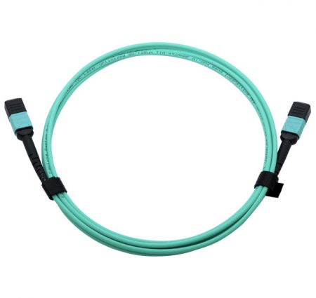 MPO Array Patch Cord, 12 Fiber Jumper - The internal connector application in fiber equipment